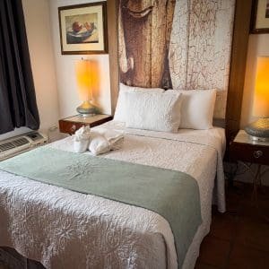 Full Economy room at At Wind Chimes Boutique Hotel in San Juan, Puerto Rico — full bed with nature bark artwork headwall, sage green coverlet, and warm dual lamp lighting