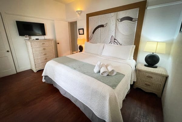 Standard King room at At Wind Chimes Boutique Hotel in San Juan, Puerto Rico — king bed with monochromatic cracked-earth original artwork headwall, dark hardwood floors, and white wicker furnishings