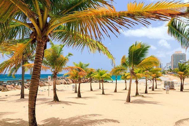 The Ultimate Walkable Vacation: Everything You Need Is Steps Away at Wind Chimes